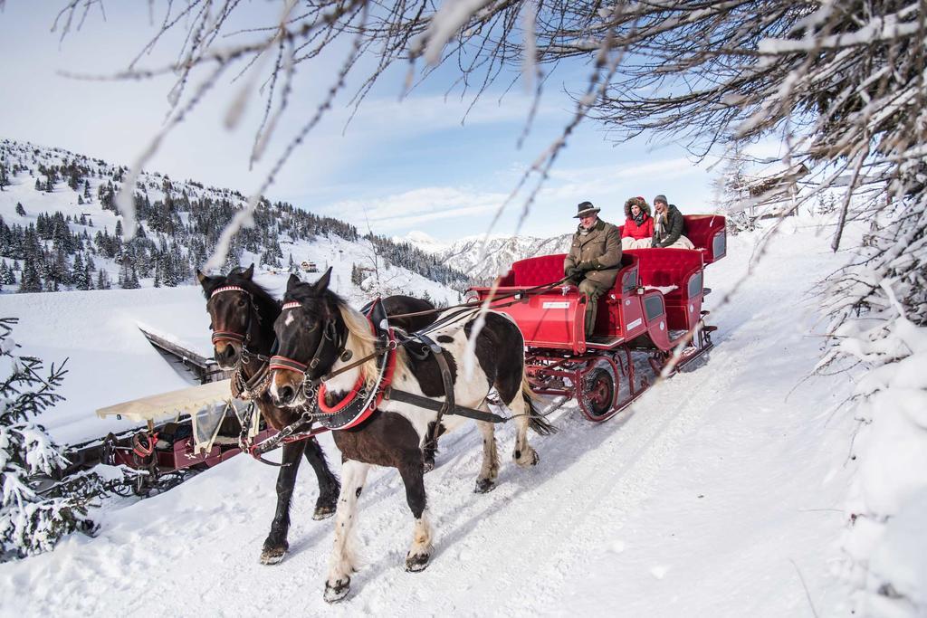 Hotel Laerchenhof Katschberghöhe エクステリア 写真